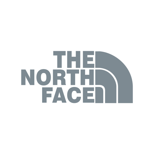 the north face Logo Cinza