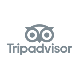 tripadvisor Logo Cinza