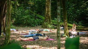 tour yoga na natureza