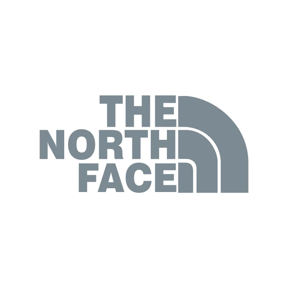 the north face Logo Cinza